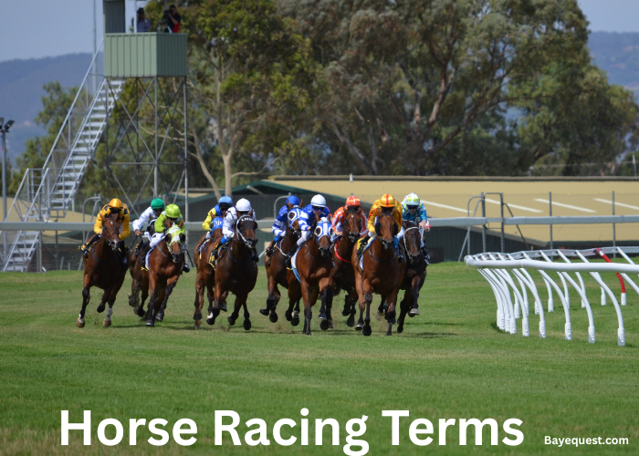 Horse Racing Terms