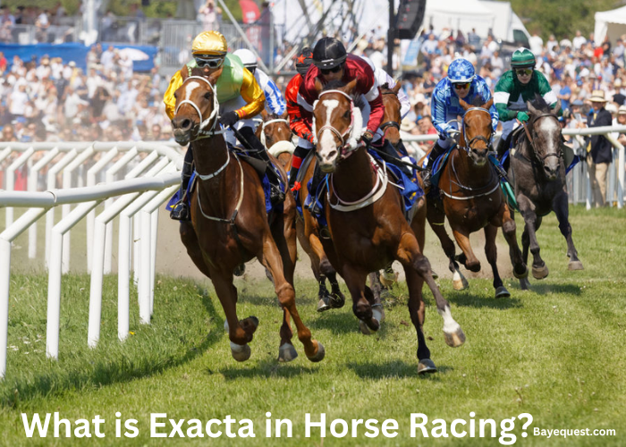 What is Exacta in Horse Racing