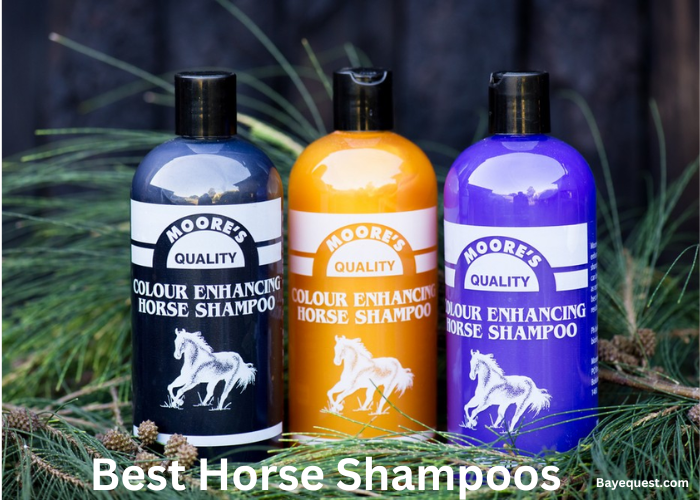 Best Horse Shampoo