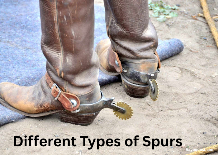 Different Types of Spurs