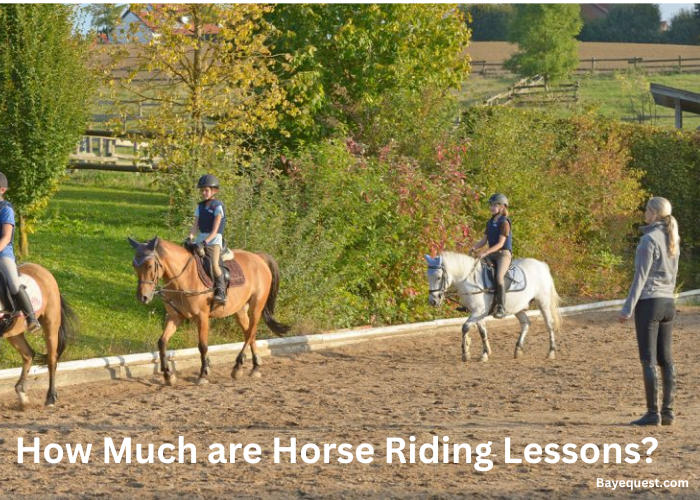 How Much are Horse Riding Lessons?
