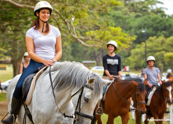 How Much Are Horse Riding Lessons?