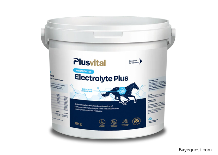 Electrolytes for Horses