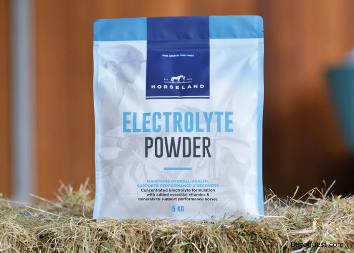 Electrolytes for Horses
