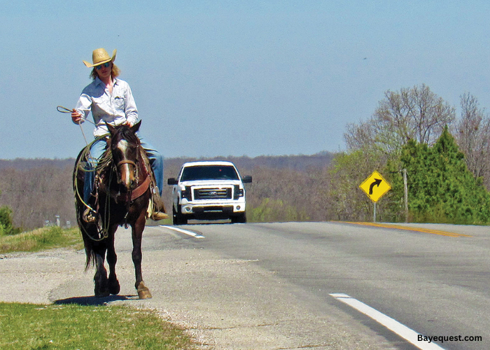 Can You Ride a Horse on the Road?