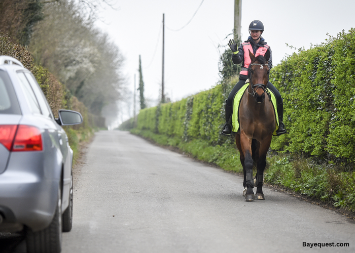 Can You Ride a Horse on the Road?