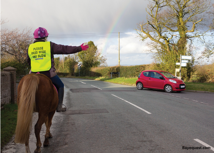 Can You Ride a Horse on the Road?