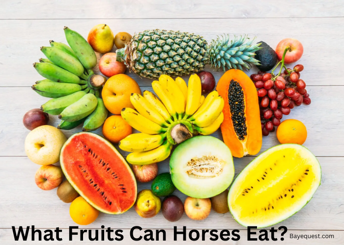 What Fruits Can Horses Eat