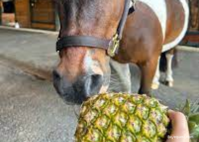 Can Horses Eat Pineapple?