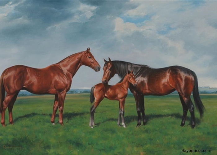 Sire and Dam Meaning