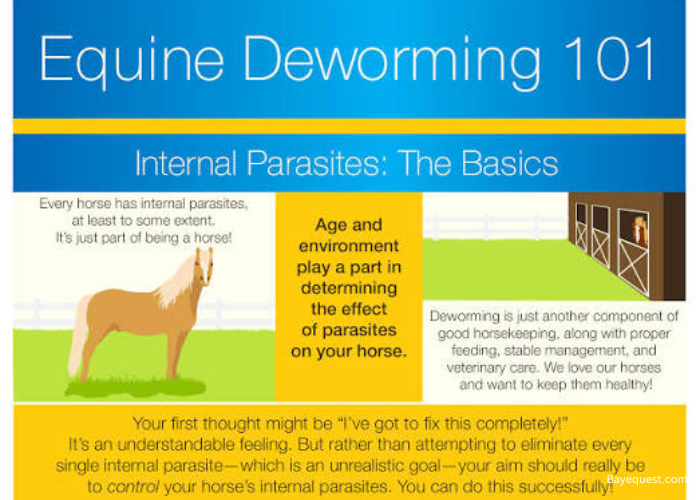 Horse Deworming Schedule