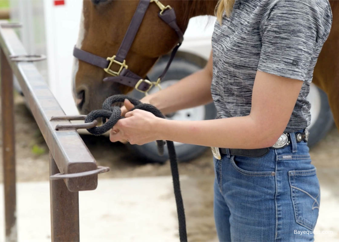 Horse Quick Release Knot