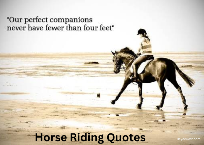 Horse Riding Quotes