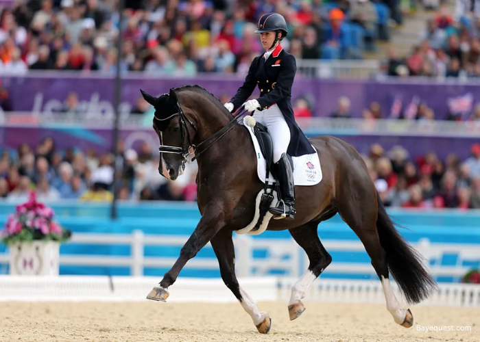 What Does Dressage Mean in Horse Riding?