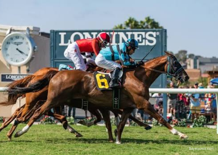 Horse Racing Game Rules