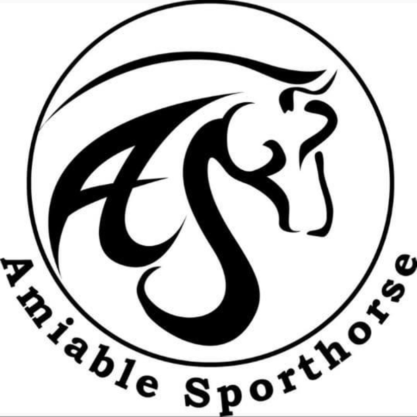 Amiable Sporthorse Bay Area Equestrian Network