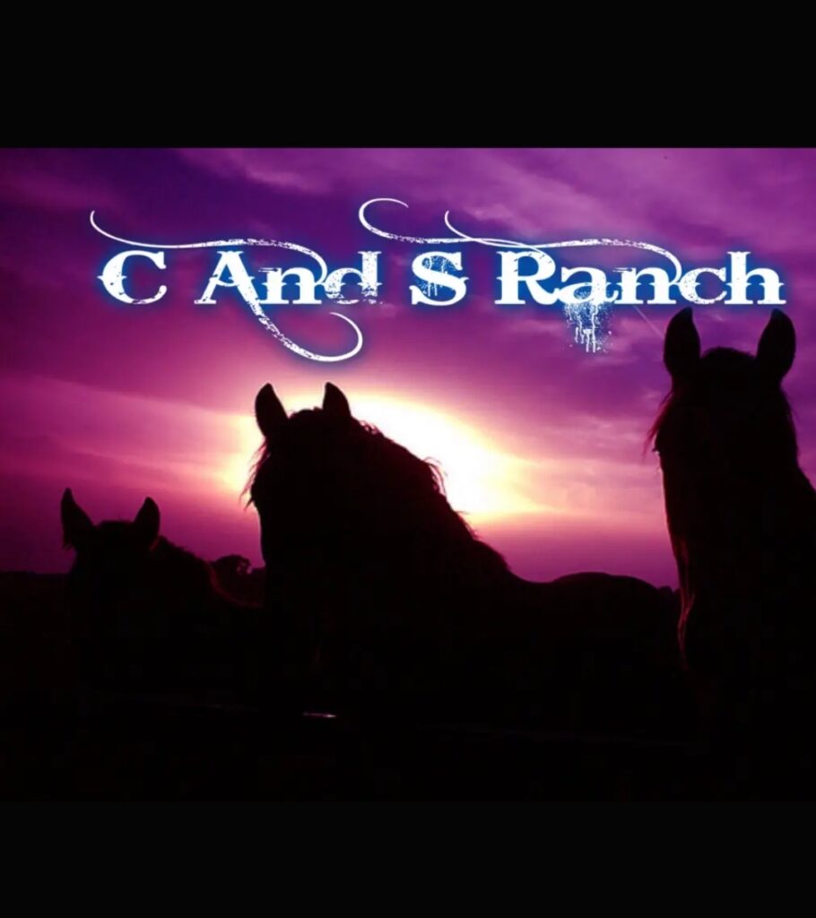 Horse Consignment Bay Area Equestrian Network