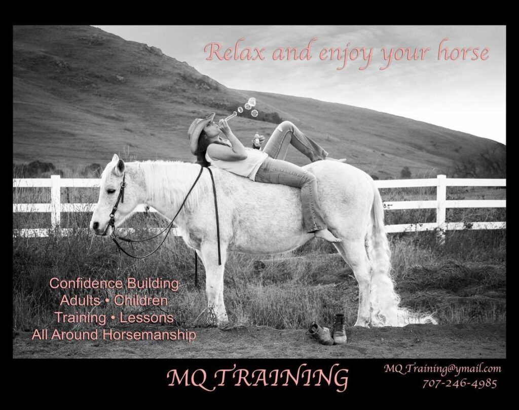 MQ TRAINING Bay Area Equestrian Network